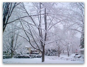 Portsmouth NH Homes - Snowy Views
