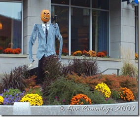 Portsmouth NH Hilton Garden Inn Scarecrow