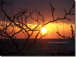 NH Coastal Living Sunrise Over Ocean