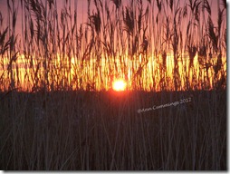Rye NH Coastal Sunrise